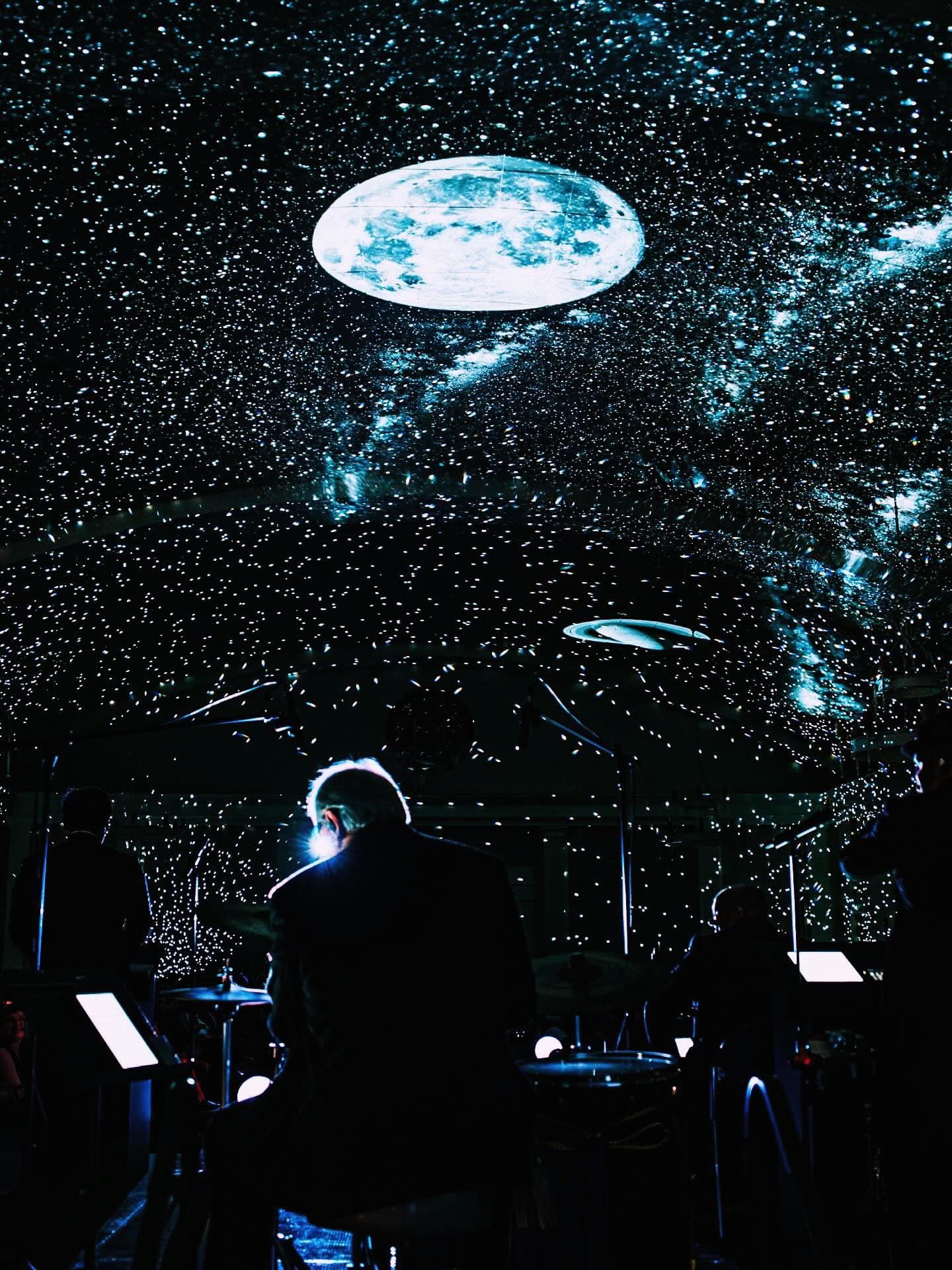 A musician seen from behind, lit by the stage, the moon overhead